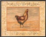 Buy Hen at AllPosters.com