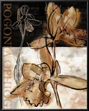 Buy Blooming Orchid II at AllPosters.com