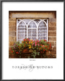 Buy Yorkshire Blooms at AllPosters.com