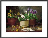 Buy Pansies in Terra Cotta at AllPosters.com
