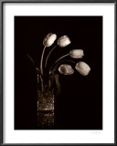 Buy Dramatic Tulips at AllPosters.com
