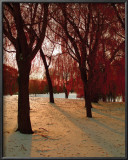 Buy Autumn Snow II at AllPosters.com