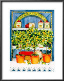Blossoming Kitchen IV