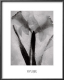 Buy Twins Forever at AllPosters.com