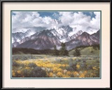 Rocky Mountain Peaks