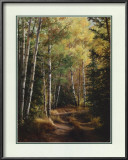 Woodland Path