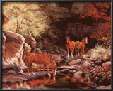 Autumn Blaze