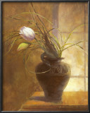 Tulip Simplicity