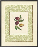 Buy Plums at AllPosters.com