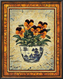 Viola Jackanapes