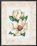 Fleur du Jour, Magnolia