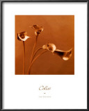 Buy Callas at AllPosters.com