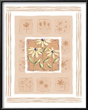 Buy Black-Eyed Susans at AllPosters.com