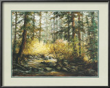 Serene Woods