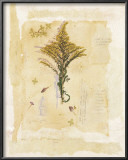 Buy Goldenrod Collage at AllPosters.com