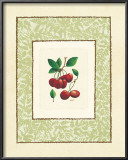 Buy Cherries at AllPosters.com