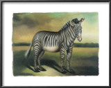 Buy Zebra at AllPosters.com