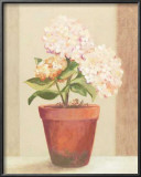 Buy Hydrangeas in Red Pot at AllPosters.com