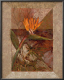 Buy Hawaiian Delight I at AllPosters.com