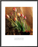 Buy Tulip Reflection at AllPosters.com