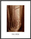 Buy Cypress Trail at AllPosters.com