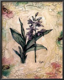 Buy Daffodils at AllPosters.com