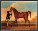 Racehorse Regulus