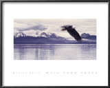 Buy Silent Quest at AllPosters.com
