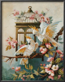 Buy Cockatoo and Blossoms at AllPosters.com
