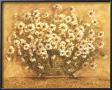 Buy So Many Daisies at AllPosters.com