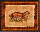 Buy Tiger at AllPosters.com