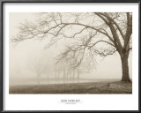 Buy Layers of Trees I at AllPosters.com