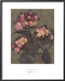 Buy Autumn Kisses II at AllPosters.com