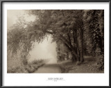 Buy Fog III at AllPosters.com
