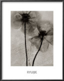 Buy Facing the Sun at AllPosters.com