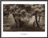 Buy The Old Bridge at AllPosters.com