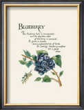 Blueberry