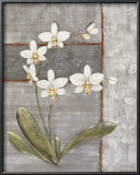 Buy Orchid Shimmer II at AllPosters.com