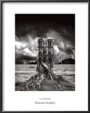 Buy Stumped at AllPosters.com