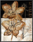 Buy Blooming Orchid I at AllPosters.com