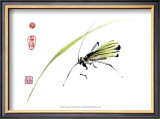 Grasshopper