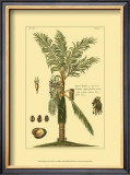Buy Printed Exotic Palm VI at AllPosters.com