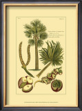 Buy Printed Exotic Palm I at AllPosters.com