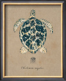 Buy Vintage Linen Tortoise at AllPosters.com