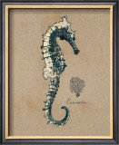 Vintage Linen Seahorse