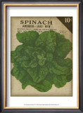 Buy Heirloom Variety VI at AllPosters.com