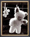Teddy Bear Drying