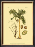 Buy Printed Exotic Palm V at AllPosters.com