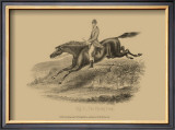 Buy The Flying Leap at AllPosters.com