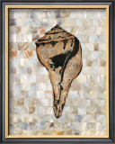 Buy Pearlized Shell at AllPosters.com